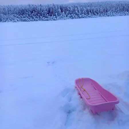 Log At Patokoski * Rovaniemi
