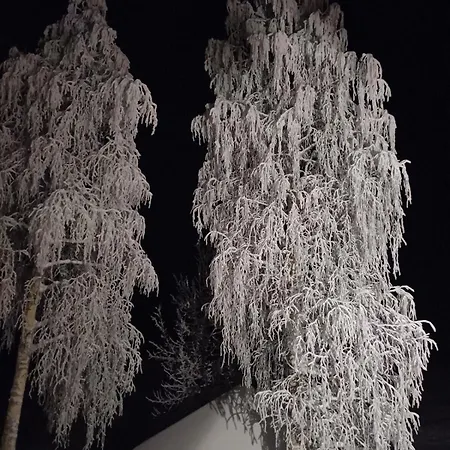 Chalet Log At Patokoski
