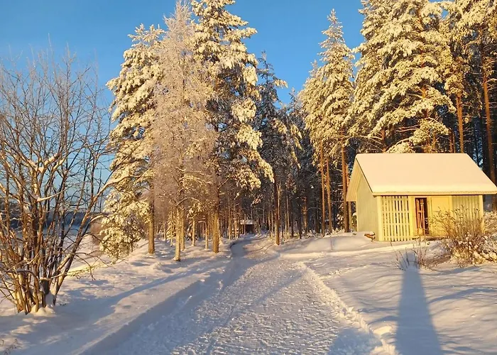 Alpesi faház Log At Patokoski *