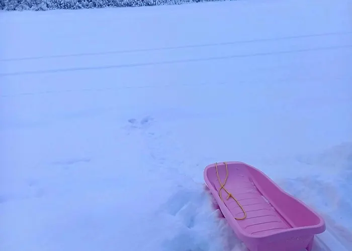 Log At Patokoski * Rovaniemi