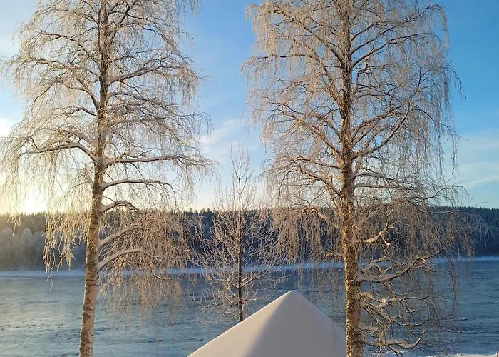 Log At Patokoski Rovaniemi