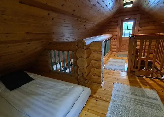 Alpesi faház Log At Patokoski